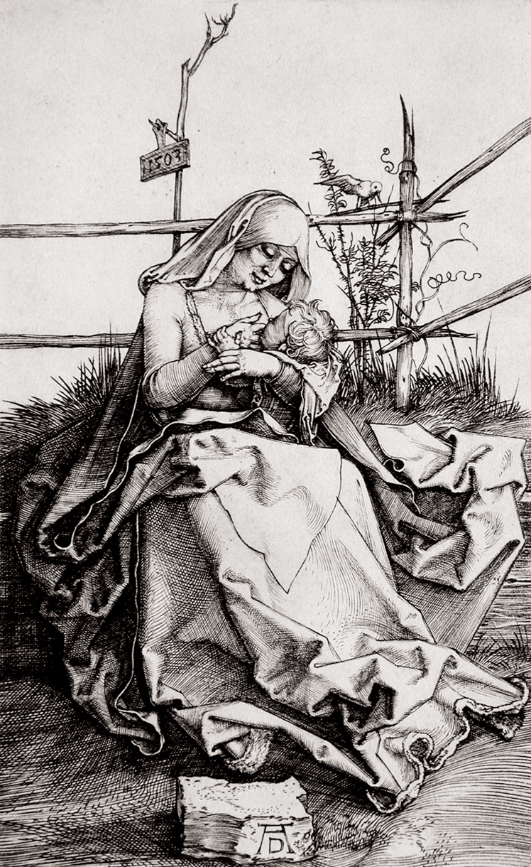   阿尔布雷特·丢勒Albrecht Dürer——素描与版画 (128)